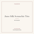 Branded placeholder plate for Juno Silk Scrunchie Trio — studio photography pending